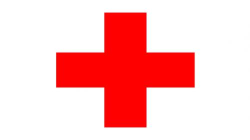 Russia strikes hinder Syria aid delivery: Red Cross