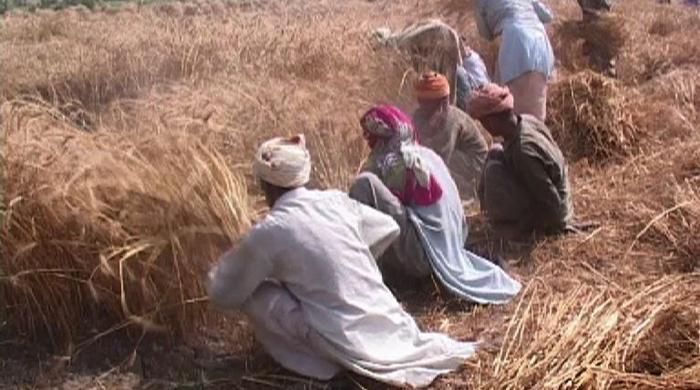 Smartphones for Punjab farmers