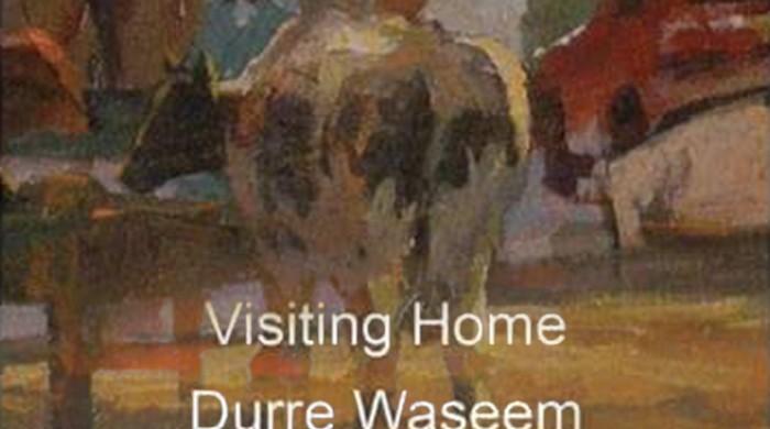 Visiting Home — Landscape series by Durre Waseem opens at Canvas Gallery