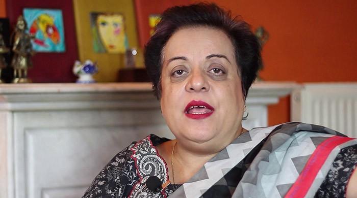 Ms Mazari, do you remember what you said?