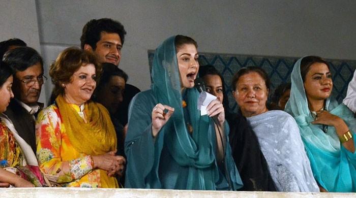 The making of a political heiress