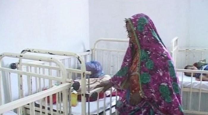 Four babies succumb to undernourishment in Thar during last 24 hours  