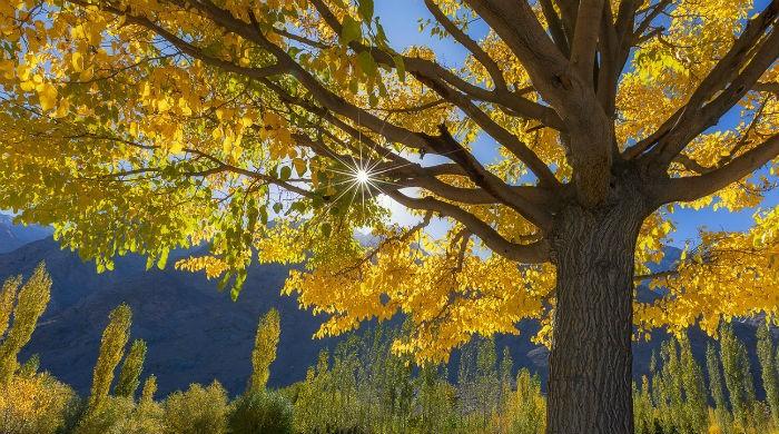 Hunza: Be still my restless heart