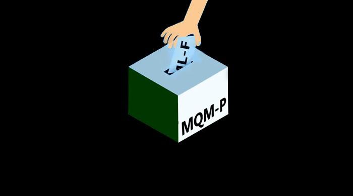 Explainer: How 10 PML-F votes helped one MQM-P senator retain his seat