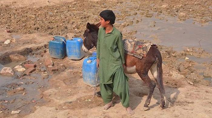 In search of clean drinking water 