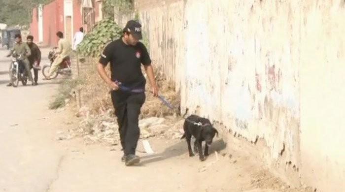 18 KP police sniffer dogs die within four years 