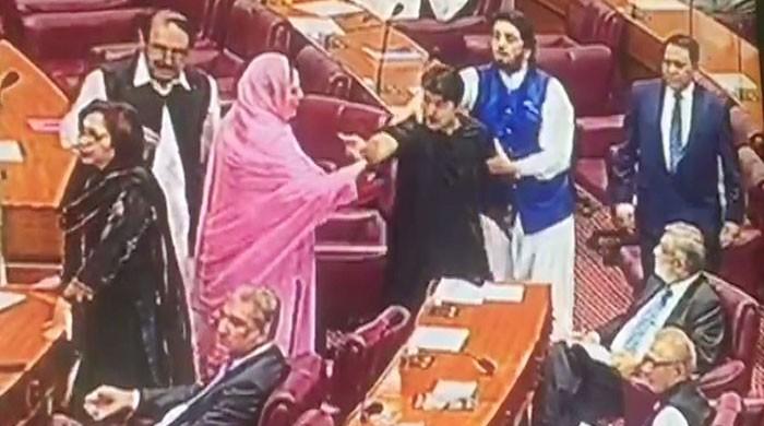 Altercation between PTI, PML-N lawmakers in NA budget session