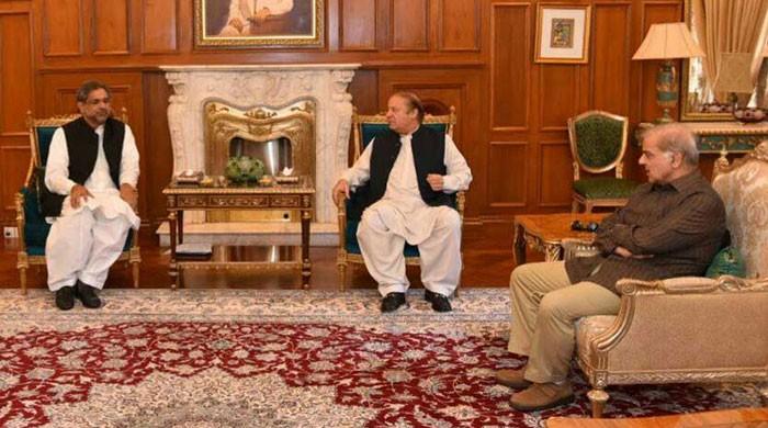 PM, Shehbaz call on Nawaz to discuss party, political affairs