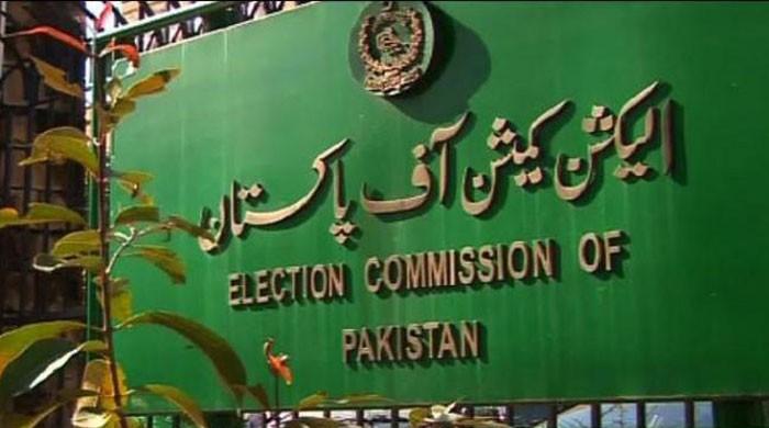 Assets details of caretaker PM, Punjab CM issued