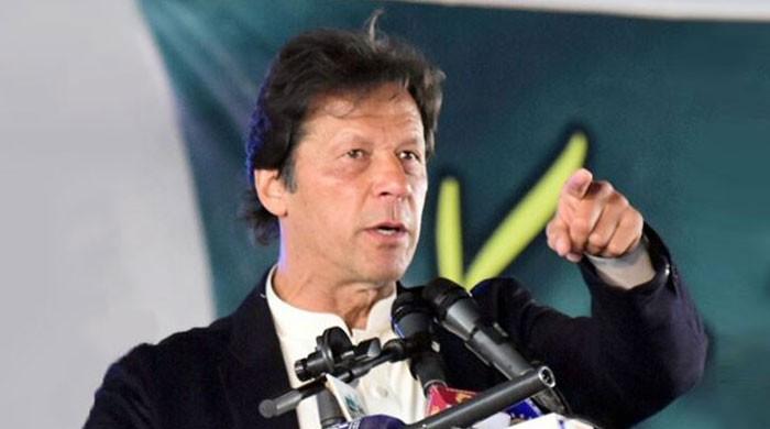 'Donkey an ordinary term', PTI counsel tells ECP over foul language notice