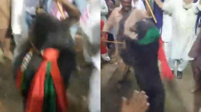 Election campaigning continues with disregard to animal rights