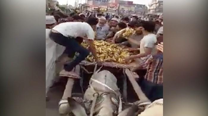 Crowd in Sheikhpura steals bananas from child fruit vendor 