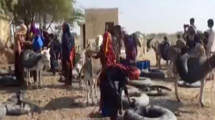 Thar's water woes