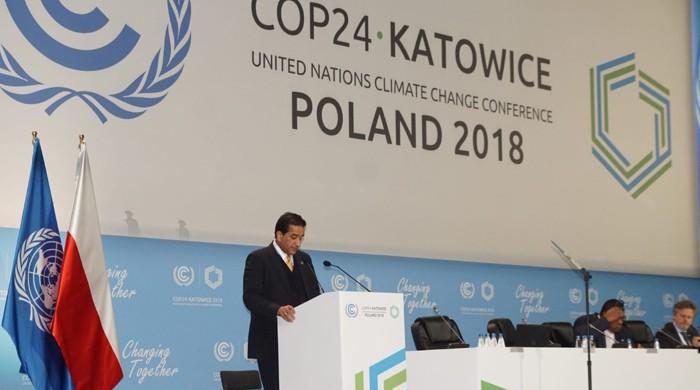 Pakistan needs $40 billion to meet climate change targets: Aslam