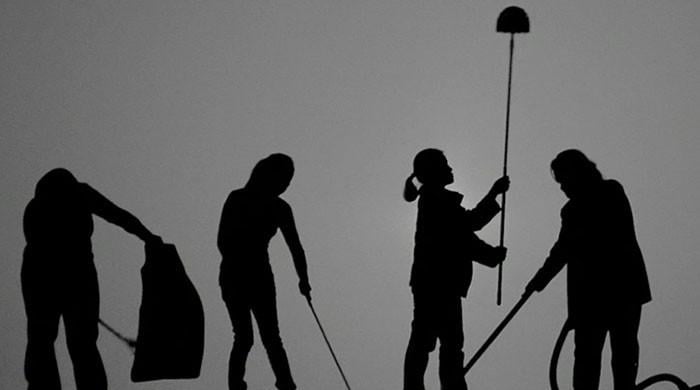 The domestic workers model