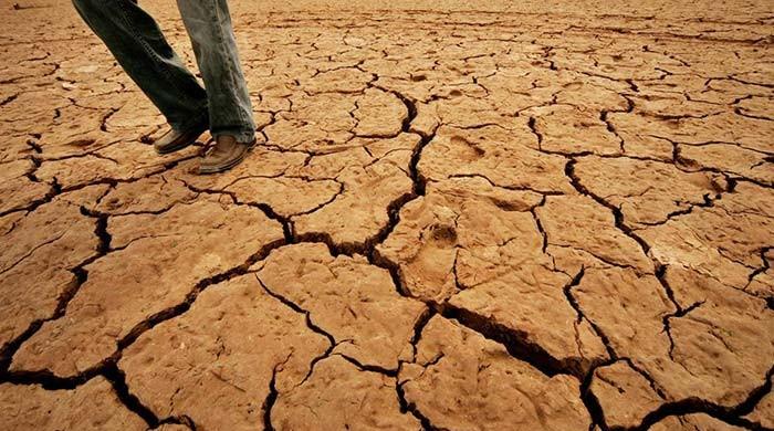 As water disappears, parched southern Pakistan farmers march north