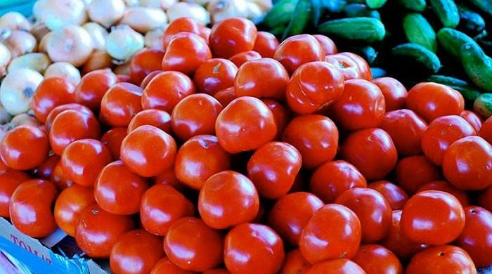 Tomato politics over the years