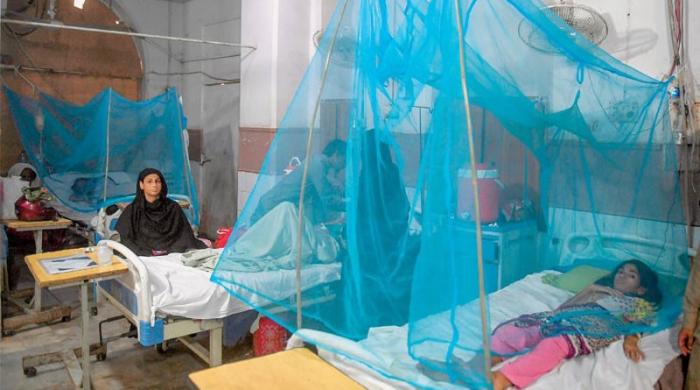 Dengue 2019: The challenge and the response