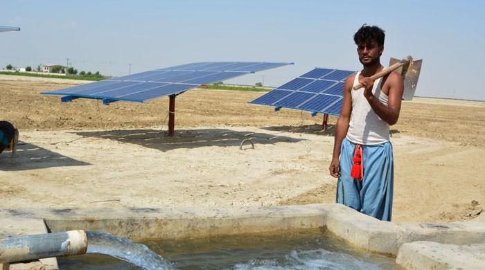 Villages in Sindh light up with solar power