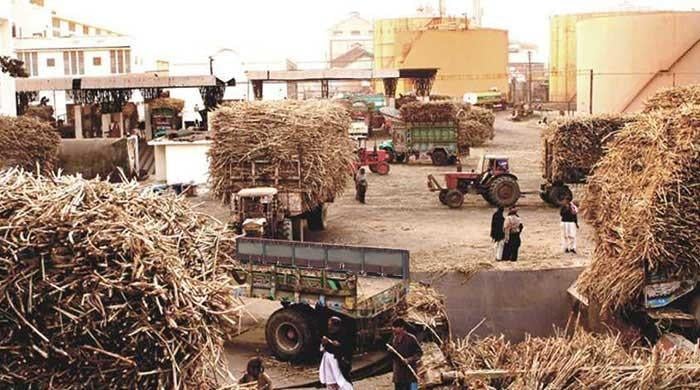 24 sugar mills got nearly Rs12 billion in subsidies in 2017 and 2019, probe finds