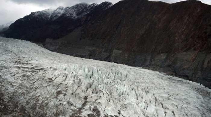 Pakistan takes big stride forward in climate change, meets UN goal decade before deadline