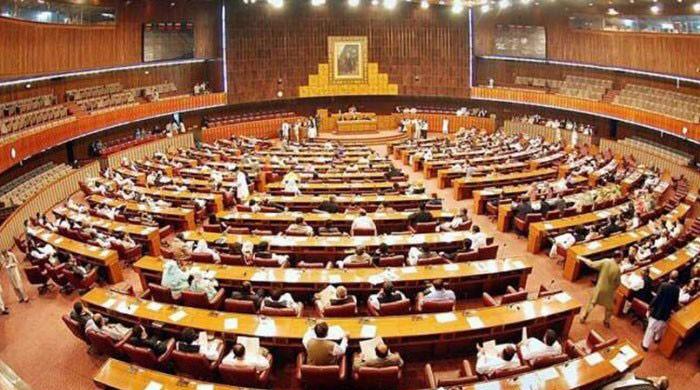 SAPMs, advisers' dual nationalities: Heated debate expected in Senate, NA