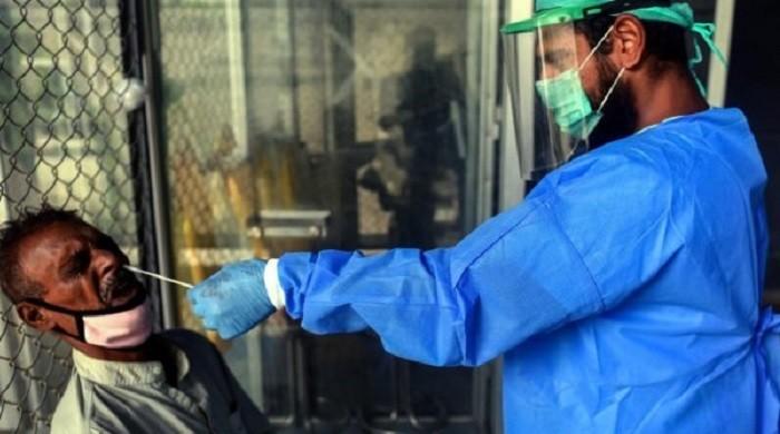 As Sindh reports reinfections, here's everything you need to know about COVID-19 immunity