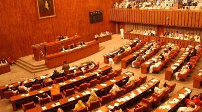 Senate election: Candidates elected unopposed on technocratic, women's seats in Punjab
