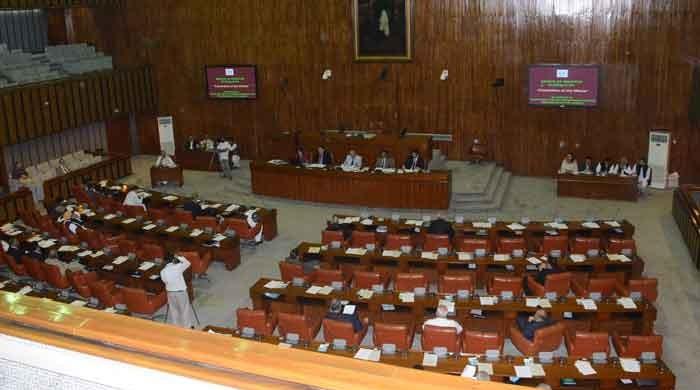With the numbers precariously balanced, Senate chairman election up in the air
