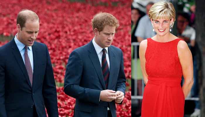 Emotions run high as Prince Harrys mom Princess Dianas statue arrives at Kensington Palace