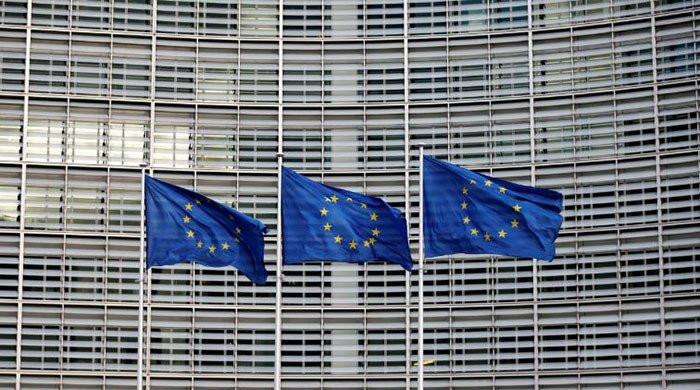 Pakistan may face GSP+ suspension if human rights conditions not met: EU