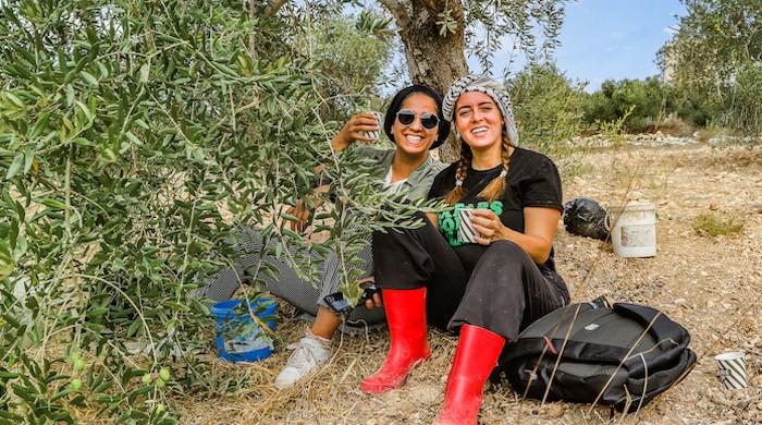 Fighting back: Palestinian bloggers promote tourism as an act of defiance