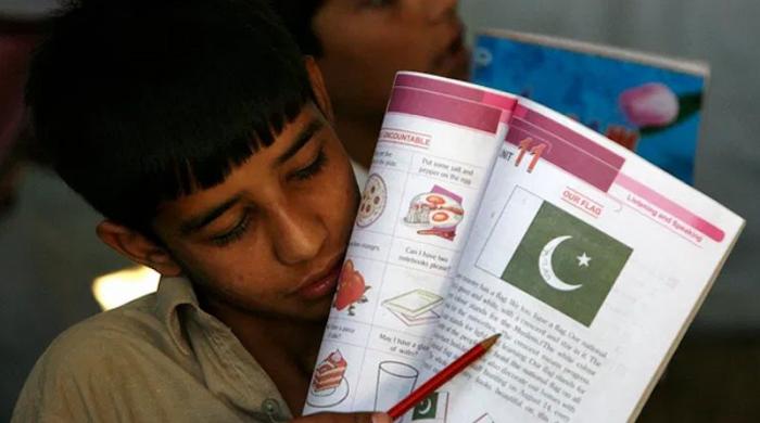 Will the Single National Curriculum turn mirrors into windows?
