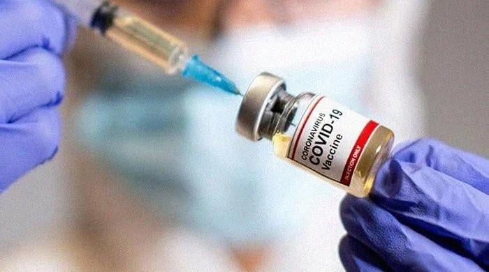 Travellers can get booster jabs starting Wednesday: Ministry of Health
