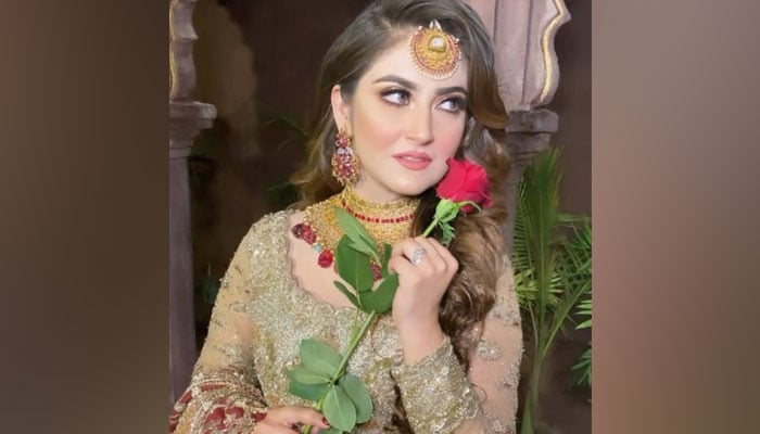 Hiba Bukhari relishes success in the small screen, expresses gratitude