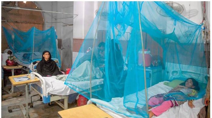 Islamabad sees rapid surge in dengue cases