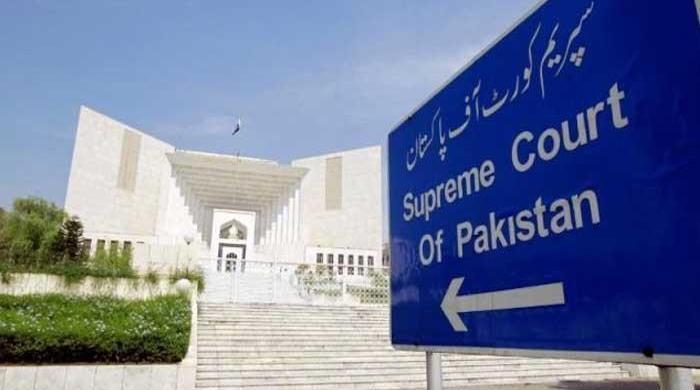 Understanding the role of the Supreme Court