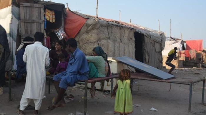 Nomads missing out on COVID-19 vaccination due to lack of CNICs