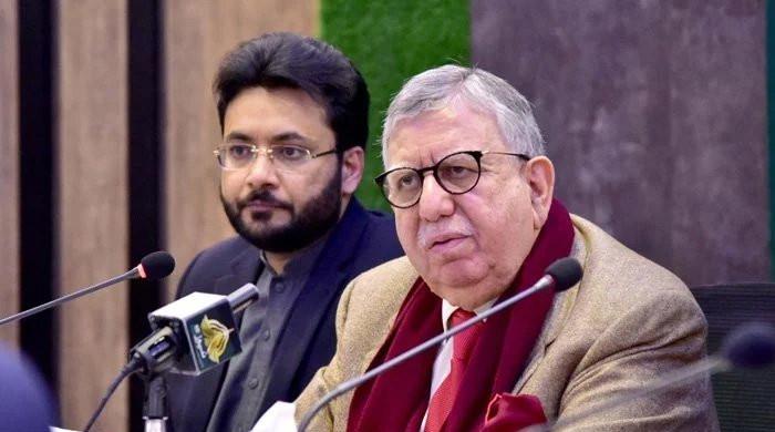 IMF pressure influenced government's decisions: Shaukat Tarin