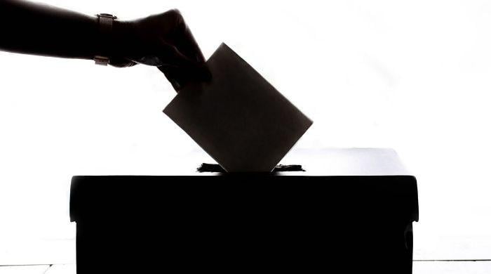 Do reforms and constituency politics clash?