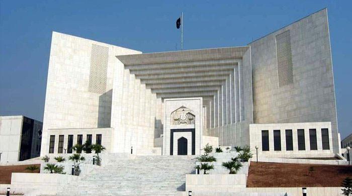 Article 63A: The presidential reference's argument is flawed