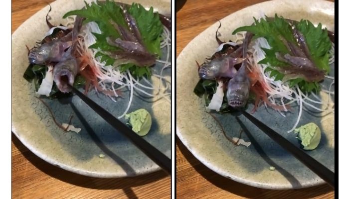 Alive fish served as food creeps out many people over the internet.&mdash;Screengrab from Instagram video/@rhmsuwaidi