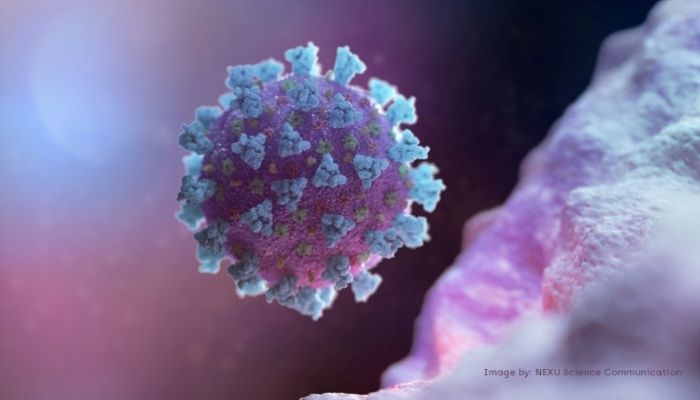 A computer image created by Nexu Science Communication together with Trinity College in Dublin, shows a model structurally representative of a betacoronavirus which is the type of virus linked to COVID-19, better known as the coronavirus linked to the Wuhan outbreak, shared with Reuters on February 18, 2020. &mdash;Reuters