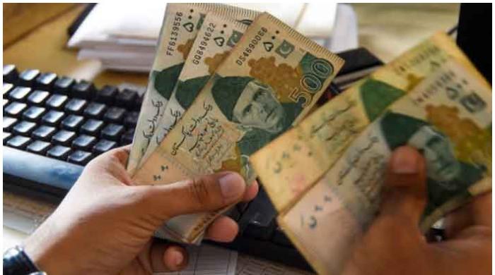 Economy will bear brunt of constitutional crisis: analysts 