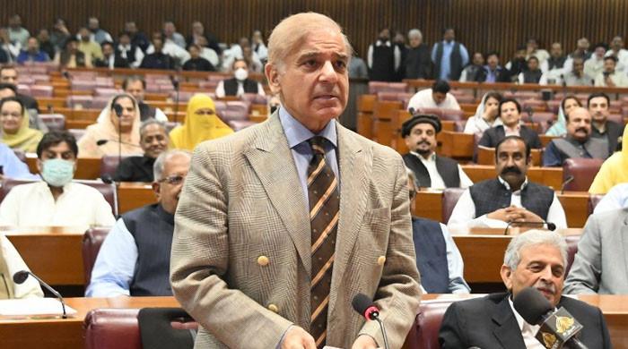 PM Shehbaz Sharif's long-awaited 34-member cabinet takes oath today