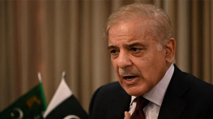 Why did PM Shehbaz Sharif not increase oil prices?