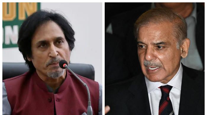 Govt decides to sack PCB Chairman Ramiz Raja: sources