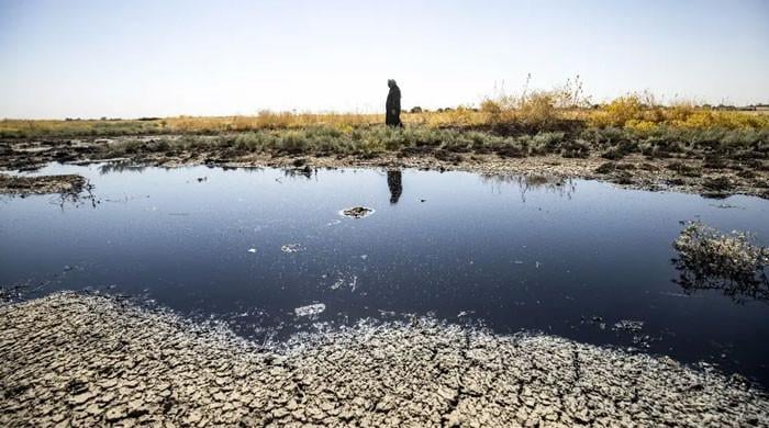 The environment movement turns 50: Five things we must do today