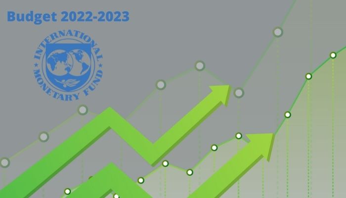 IMF has asked Pakistan to make fiscal adjustments of about 2.5% of GDP by increasing revenues and reducing expenditures in the upcoming budget. — Geo.tv illustration