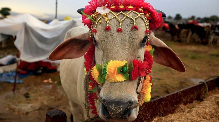When will Eidul Azha and Ashura be in Pakistan this year?